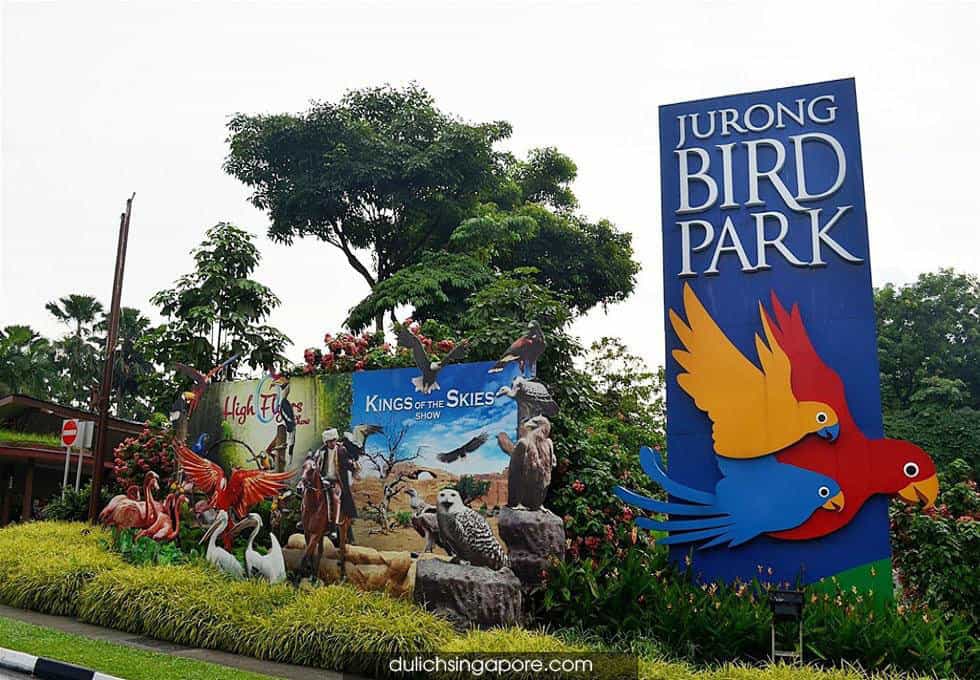 vuon-chim-jurong-du-lich-singapore-4-ngay-3-dem